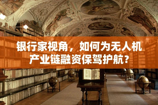 银行家视角，如何为无人机产业链融资保驾护航？