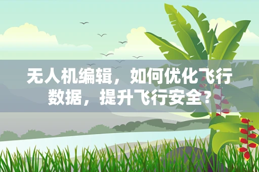 无人机编辑，如何优化飞行数据，提升飞行安全？