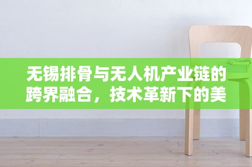 无锡排骨与无人机产业链的跨界融合，技术革新下的美食配送新模式？