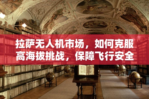 拉萨无人机市场，如何克服高海拔挑战，保障飞行安全？