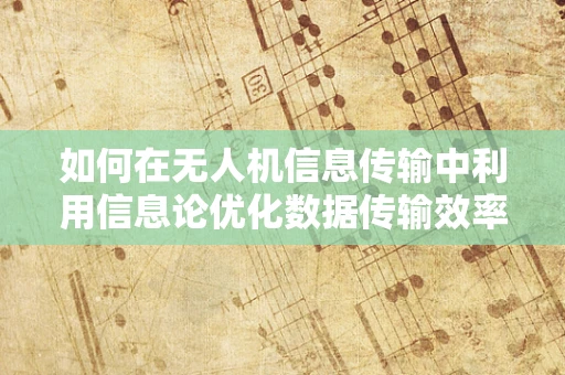 如何在无人机信息传输中利用信息论优化数据传输效率？