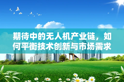 期待中的无人机产业链，如何平衡技术创新与市场需求？