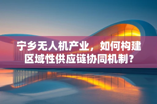 宁乡无人机产业，如何构建区域性供应链协同机制？