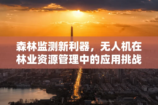 森林监测新利器，无人机在林业资源管理中的应用挑战