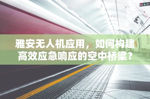 雅安无人机应用，如何构建高效应急响应的空中桥梁？