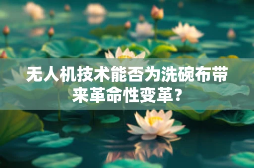 无人机技术能否为洗碗布带来革命性变革？