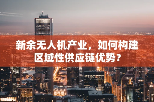新余无人机产业，如何构建区域性供应链优势？