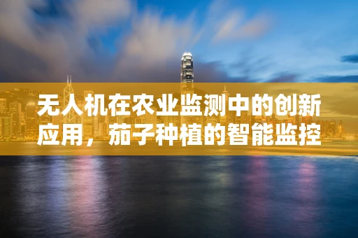 无人机在农业监测中的创新应用，茄子种植的智能监控挑战