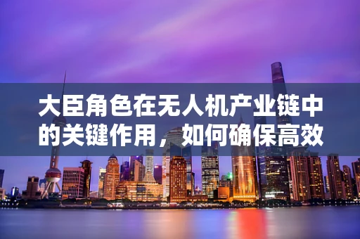 大臣角色在无人机产业链中的关键作用，如何确保高效协同与决策？