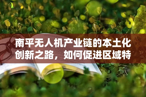 南平无人机产业链的本土化创新之路，如何促进区域特色发展？