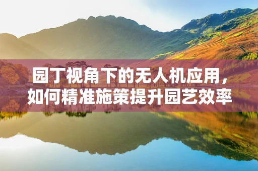 园丁视角下的无人机应用，如何精准施策提升园艺效率？