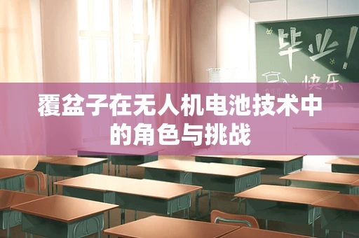 覆盆子在无人机电池技术中的角色与挑战