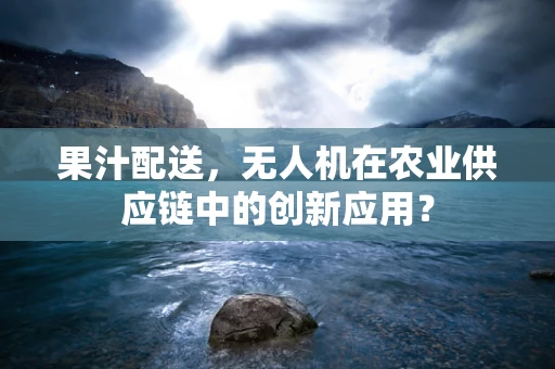 果汁配送，无人机在农业供应链中的创新应用？