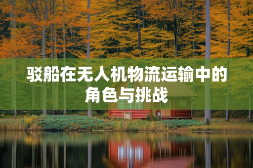 驳船在无人机物流运输中的角色与挑战