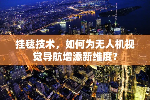 挂毯技术，如何为无人机视觉导航增添新维度？