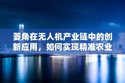 菱角在无人机产业链中的创新应用，如何实现精准农业的‘点睛’之笔？