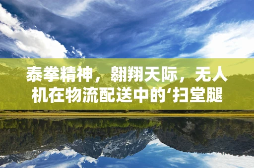 泰拳精神，翱翔天际，无人机在物流配送中的‘扫堂腿’策略