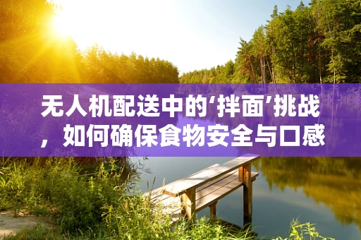 无人机配送中的‘拌面’挑战，如何确保食物安全与口感？