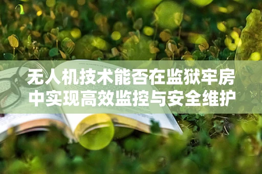 无人机技术能否在监狱牢房中实现高效监控与安全维护？