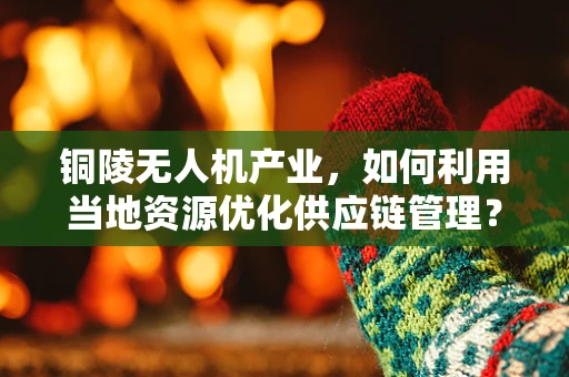 铜陵无人机产业，如何利用当地资源优化供应链管理？