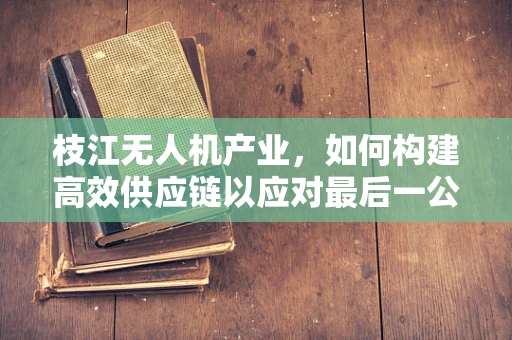 枝江无人机产业，如何构建高效供应链以应对最后一公里挑战？