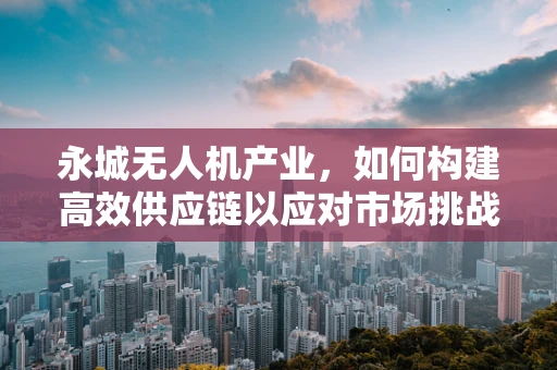 永城无人机产业，如何构建高效供应链以应对市场挑战？