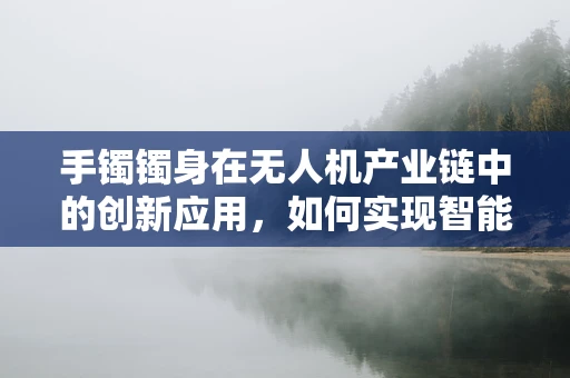 手镯镯身在无人机产业链中的创新应用，如何实现智能追踪与安全防护？