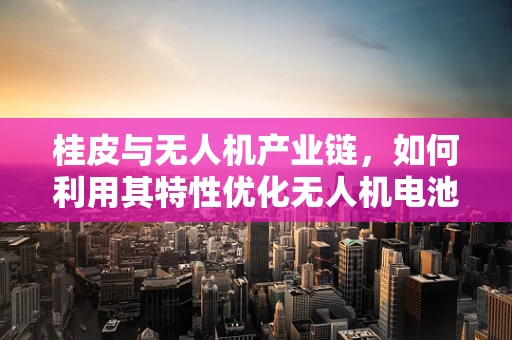 桂皮与无人机产业链，如何利用其特性优化无人机电池管理？
