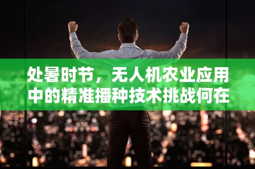 处暑时节，无人机农业应用中的精准播种技术挑战何在？