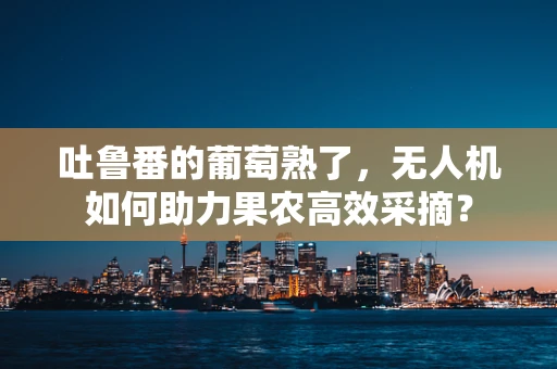 吐鲁番的葡萄熟了，无人机如何助力果农高效采摘？