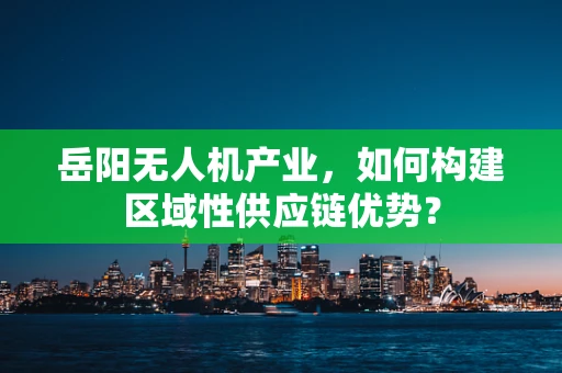岳阳无人机产业，如何构建区域性供应链优势？