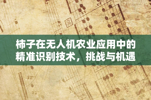 柿子在无人机农业应用中的精准识别技术，挑战与机遇