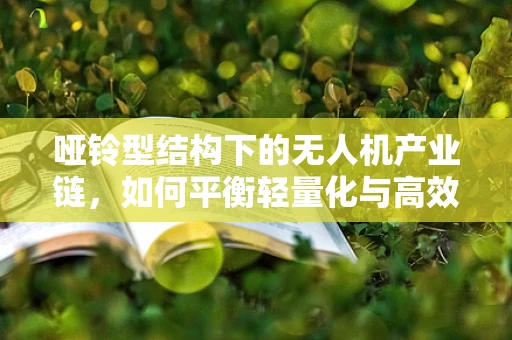哑铃型结构下的无人机产业链，如何平衡轻量化与高效能？
