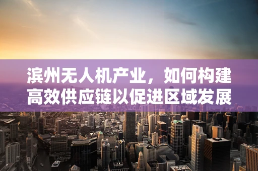 滨州无人机产业，如何构建高效供应链以促进区域发展？