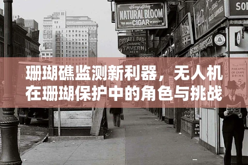 珊瑚礁监测新利器，无人机在珊瑚保护中的角色与挑战