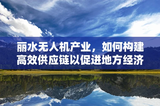 丽水无人机产业，如何构建高效供应链以促进地方经济发展？