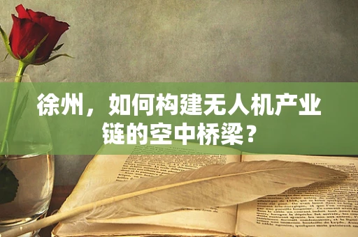 徐州，如何构建无人机产业链的空中桥梁？