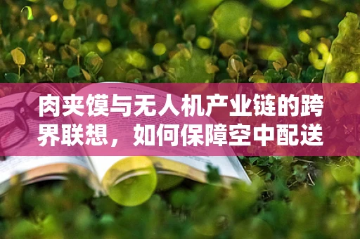 肉夹馍与无人机产业链的跨界联想，如何保障空中配送的‘馂香’安全？