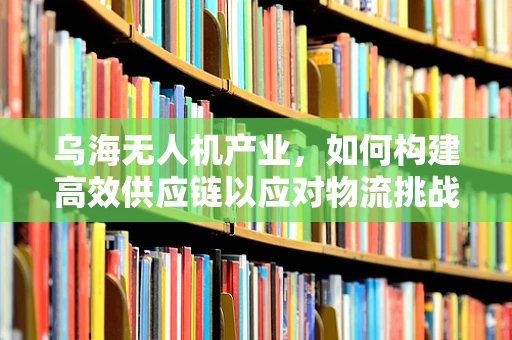 乌海无人机产业，如何构建高效供应链以应对物流挑战？
