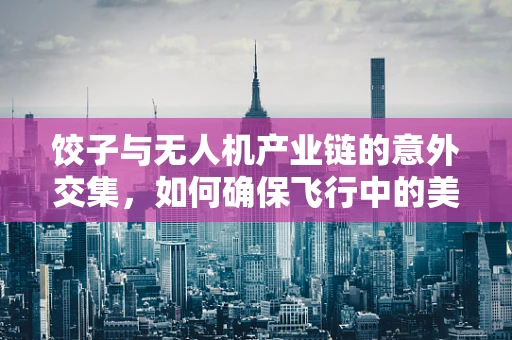 饺子与无人机产业链的意外交集，如何确保飞行中的美食安全？