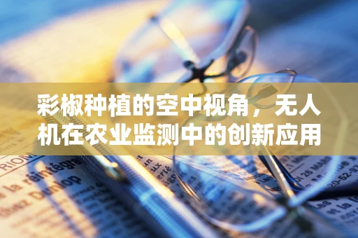 彩椒种植的空中视角，无人机在农业监测中的创新应用？