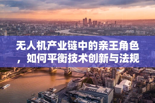 无人机产业链中的亲王角色，如何平衡技术创新与法规遵从？
