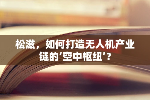 松滋，如何打造无人机产业链的‘空中枢纽’？