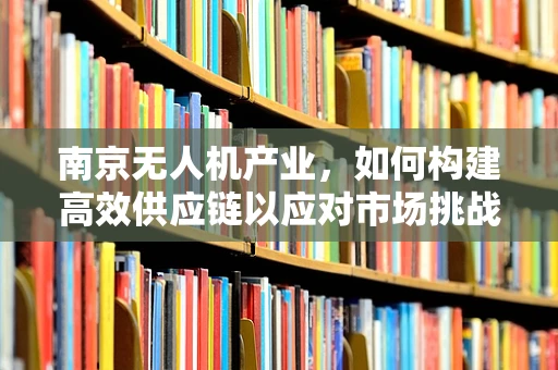 南京无人机产业，如何构建高效供应链以应对市场挑战？