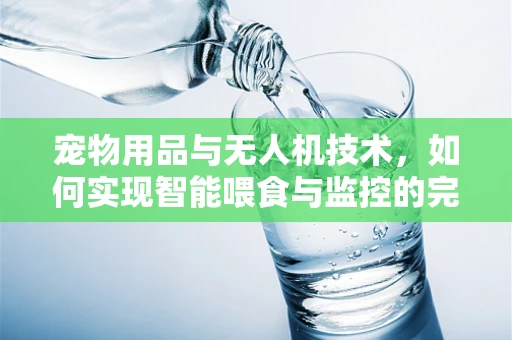 宠物用品与无人机技术，如何实现智能喂食与监控的完美结合？