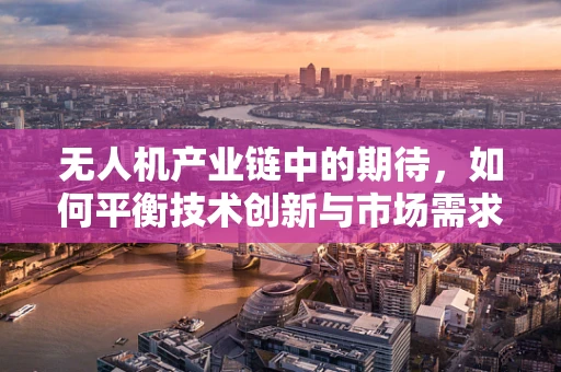 无人机产业链中的期待，如何平衡技术创新与市场需求？