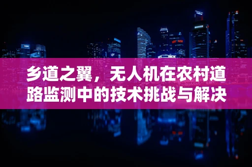 乡道之翼，无人机在农村道路监测中的技术挑战与解决方案
