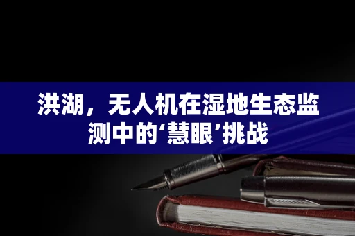 洪湖，无人机在湿地生态监测中的‘慧眼’挑战