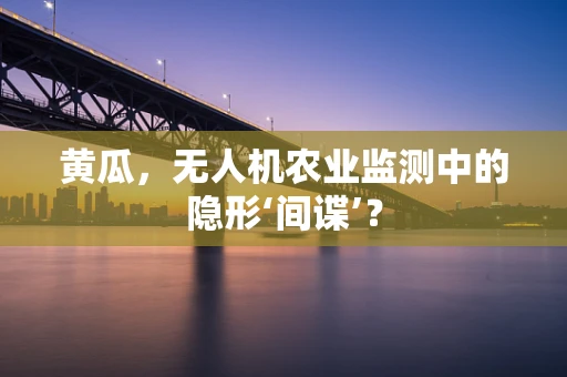 黄瓜，无人机农业监测中的隐形‘间谍’？