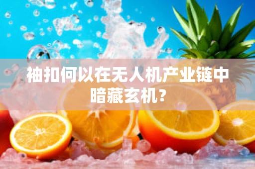 袖扣何以在无人机产业链中暗藏玄机？